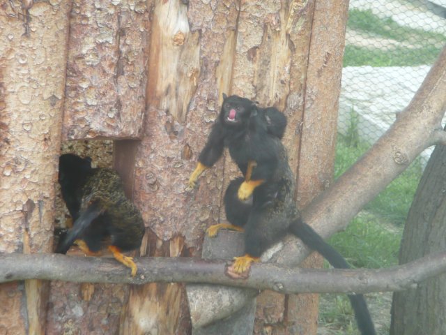 p1020258