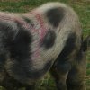 p1020200