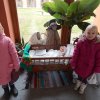 dscn0157
