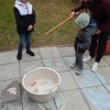 dscn9384