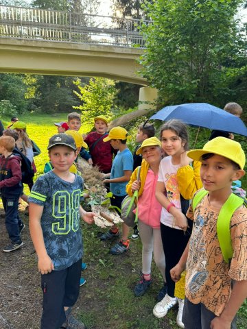 38e6308e-104e-43da-b860-ae74fe350c62