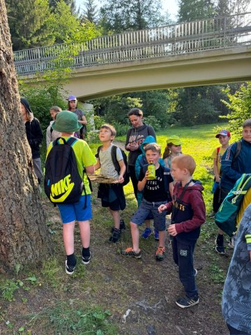 a71fe292-55d5-4c02-987f-82119713079d