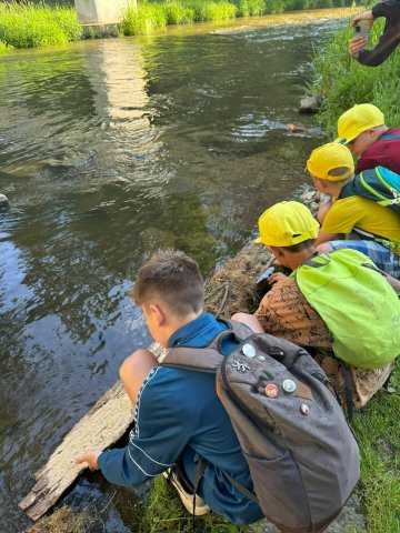 f6c1b3b0-6af5-46c3-8050-45e050963b4a