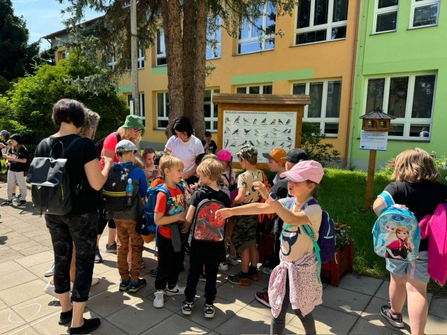 f9e20a45-99f3-470a-a013-3349b254ec10