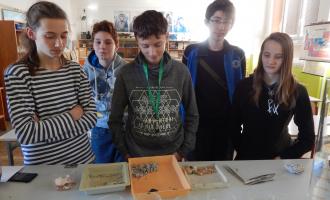 Školní kolo biologické olympiády