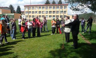 Výsadba ovocných stromů