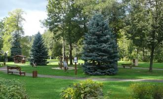 Projekt Vánoční dílna a slavnostní rozsvícení vánočního stromu