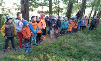 Lesní pedagogika na Haštale