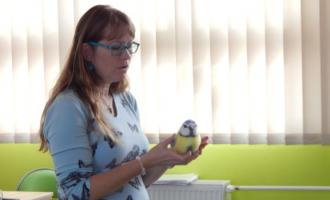 Letem ptačím světem