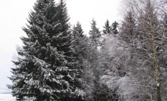 Vánoční prázdniny začaly